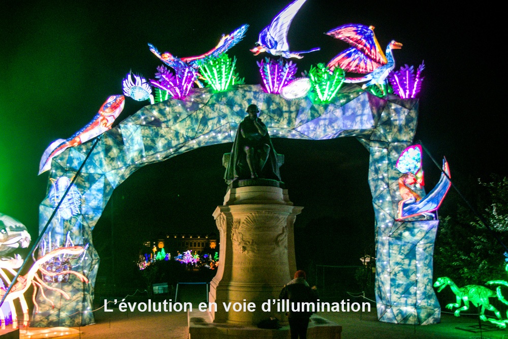 evolution-illuminations-jardin-plantes-decembre-2021-1