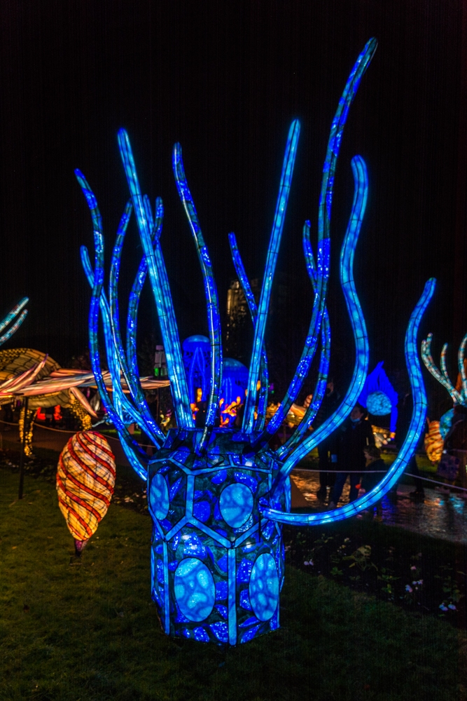 evolution-illuminations-jardin-plantes-decembre-2021-11