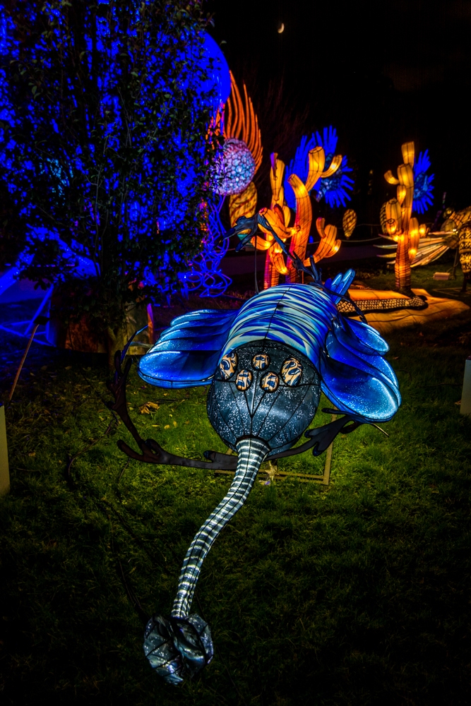 evolution-illuminations-jardin-plantes-decembre-2021-14