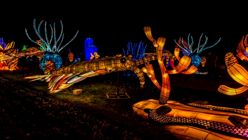 evolution-illuminations-jardin-plantes-decembre-2021-15