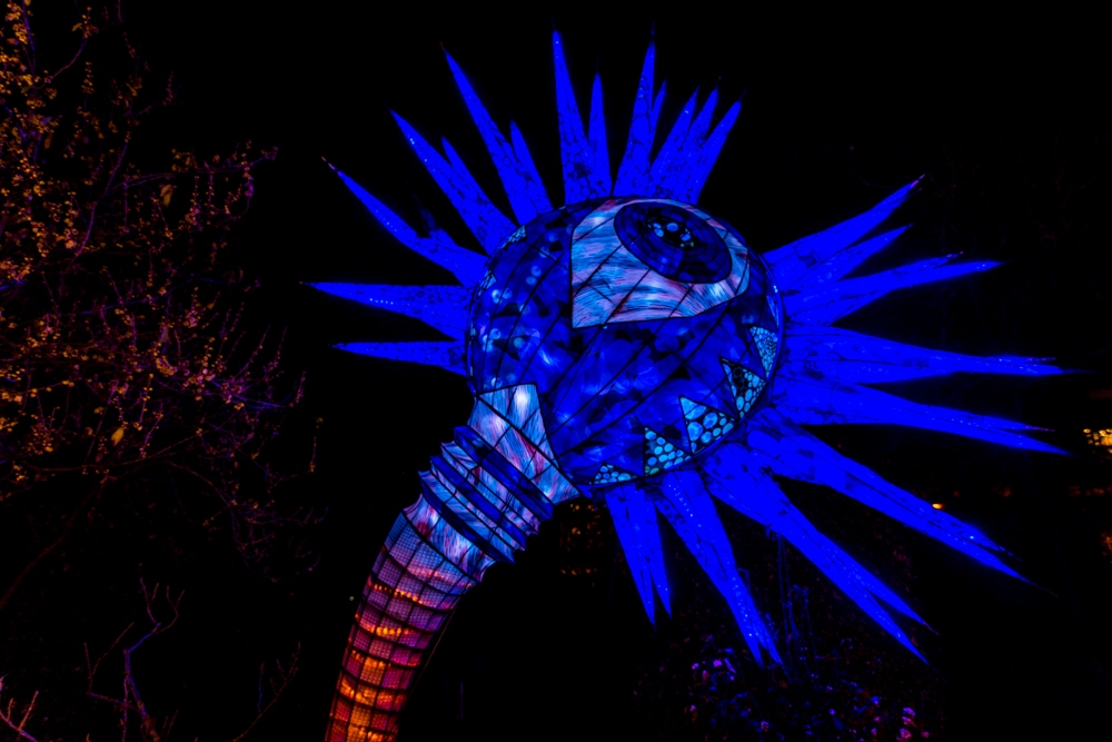 evolution-illuminations-jardin-plantes-decembre-2021-17