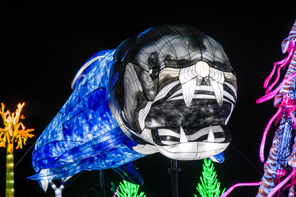 evolution-illuminations-jardin-plantes-decembre-2021-18