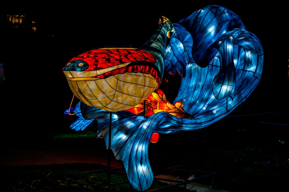 evolution-illuminations-jardin-plantes-decembre-2021-19