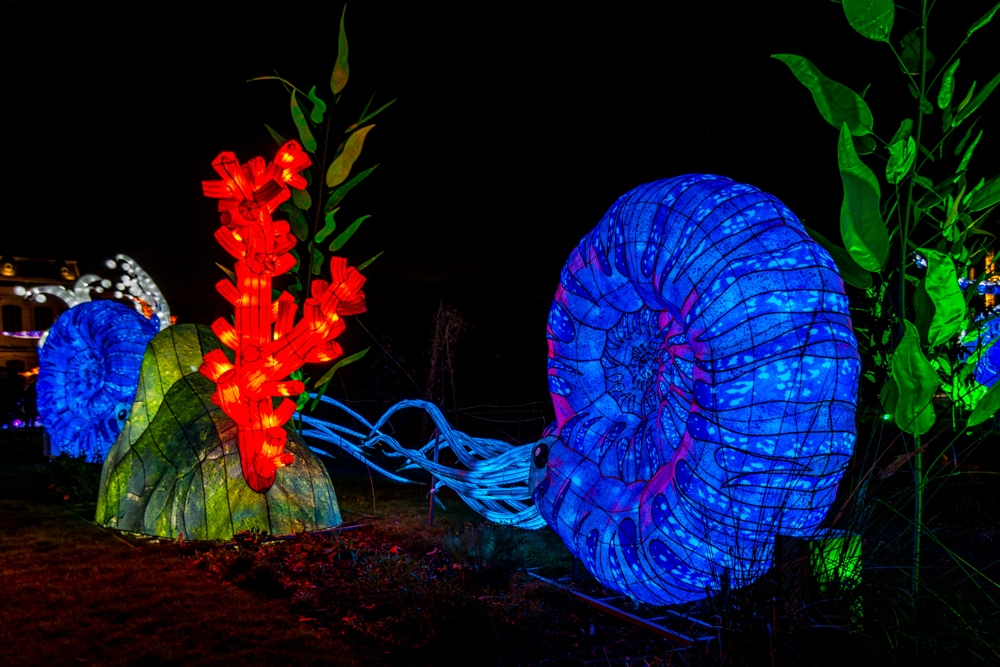 evolution-illuminations-jardin-plantes-decembre-2021-20