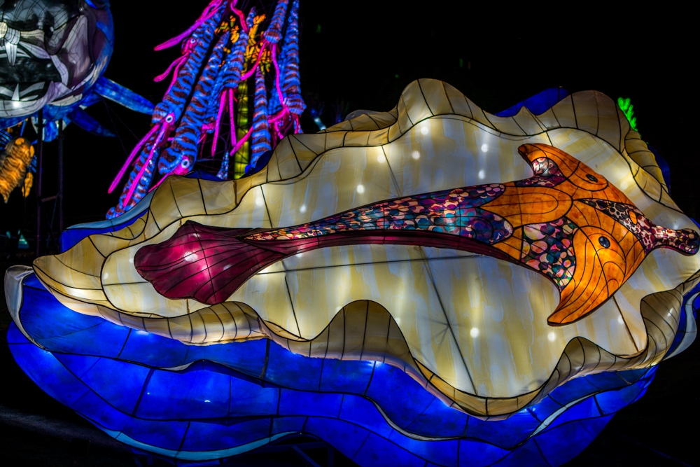 evolution-illuminations-jardin-plantes-decembre-2021-22