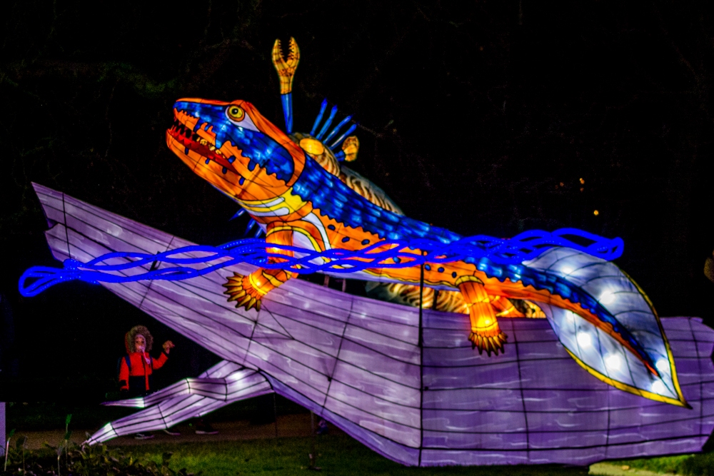 evolution-illuminations-jardin-plantes-decembre-2021-24