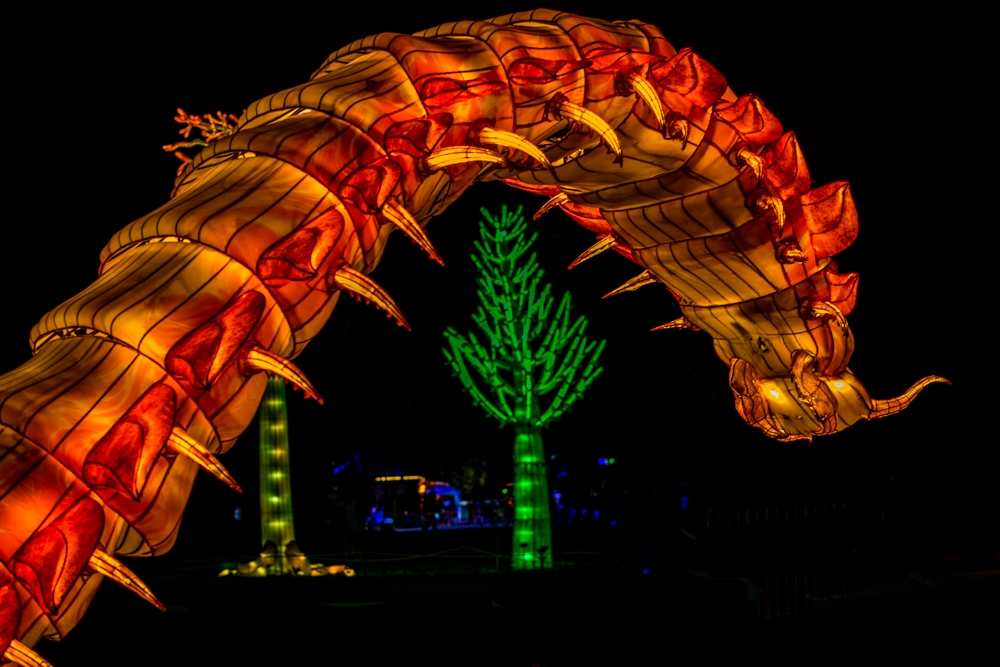 evolution-illuminations-jardin-plantes-decembre-2021-27