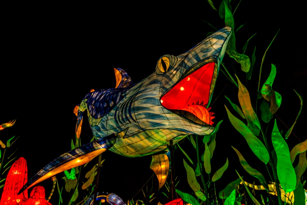 evolution-illuminations-jardin-plantes-decembre-2021-28