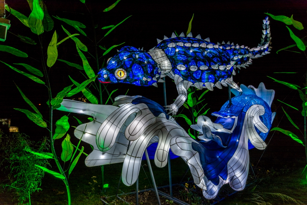 evolution-illuminations-jardin-plantes-decembre-2021-30