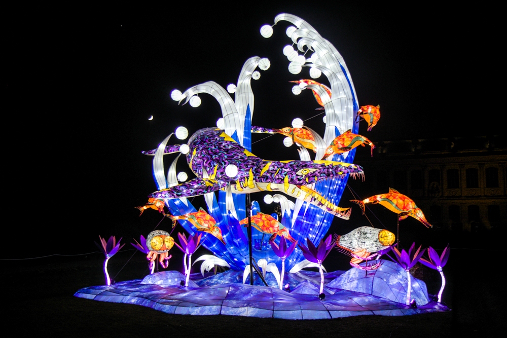 evolution-illuminations-jardin-plantes-decembre-2021-32
