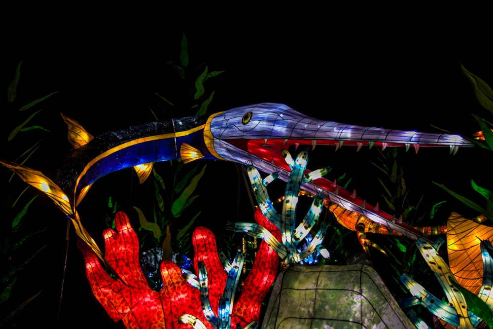 evolution-illuminations-jardin-plantes-decembre-2021-33