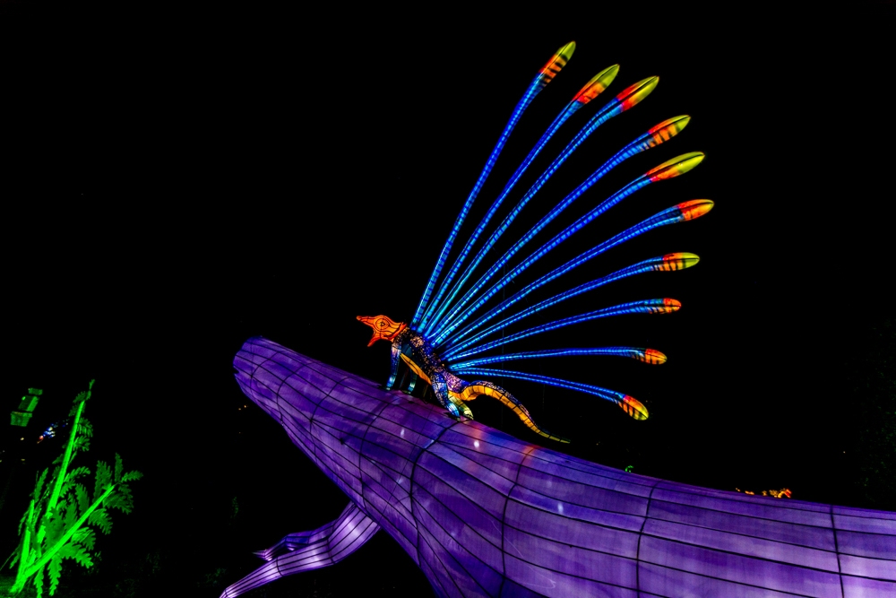 evolution-illuminations-jardin-plantes-decembre-2021-34