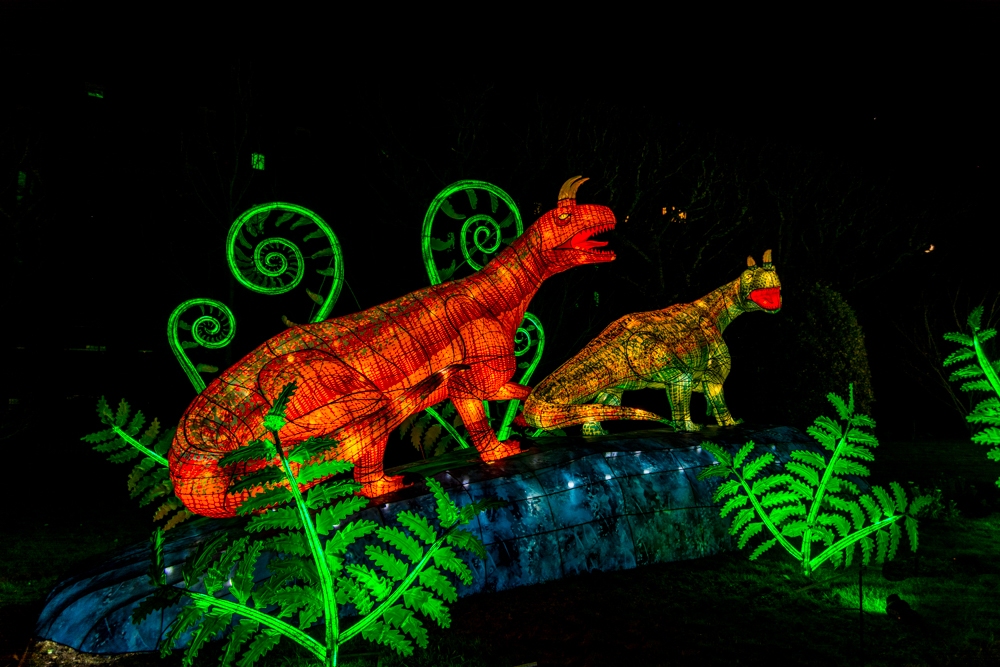 evolution-illuminations-jardin-plantes-decembre-2021-36