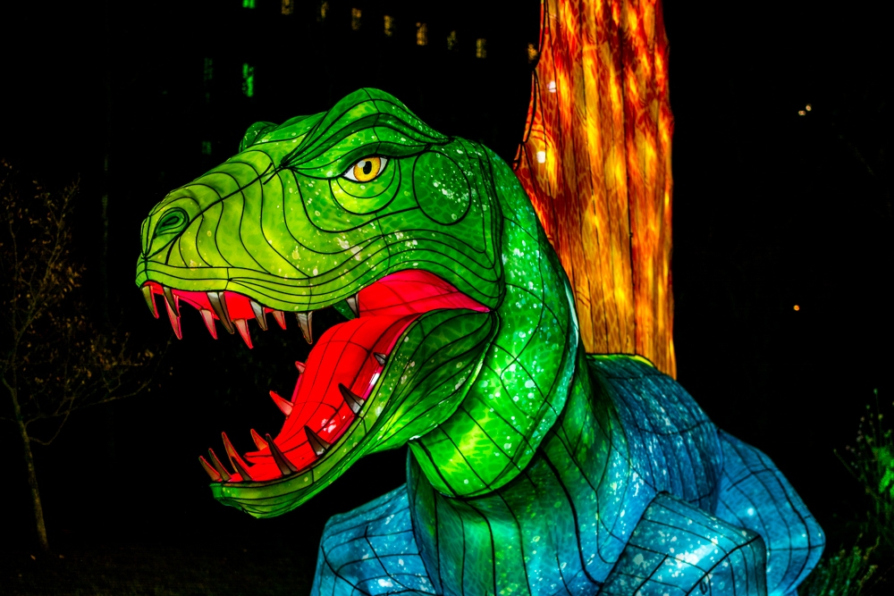evolution-illuminations-jardin-plantes-decembre-2021-37
