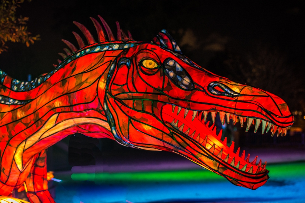 evolution-illuminations-jardin-plantes-decembre-2021-38