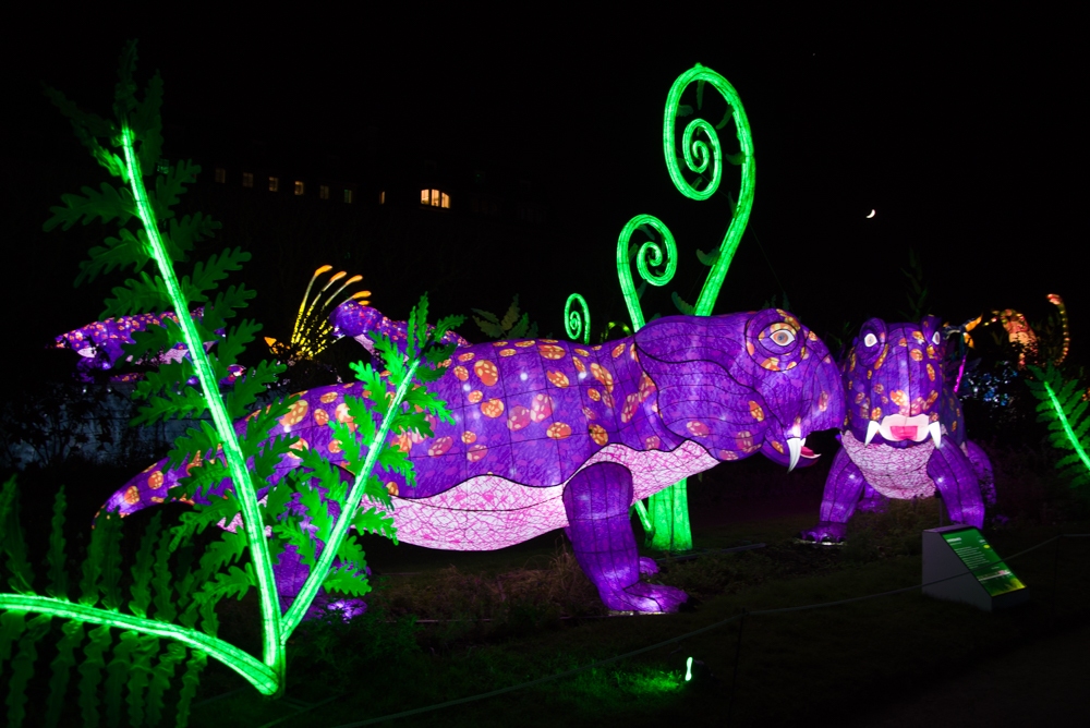 evolution-illuminations-jardin-plantes-decembre-2021-39