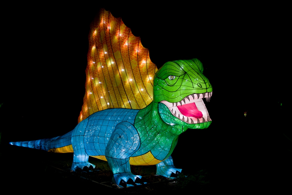 evolution-illuminations-jardin-plantes-decembre-2021-40
