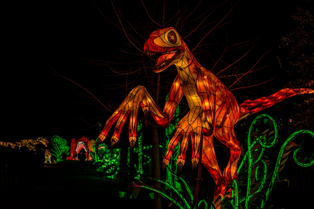 evolution-illuminations-jardin-plantes-decembre-2021-41