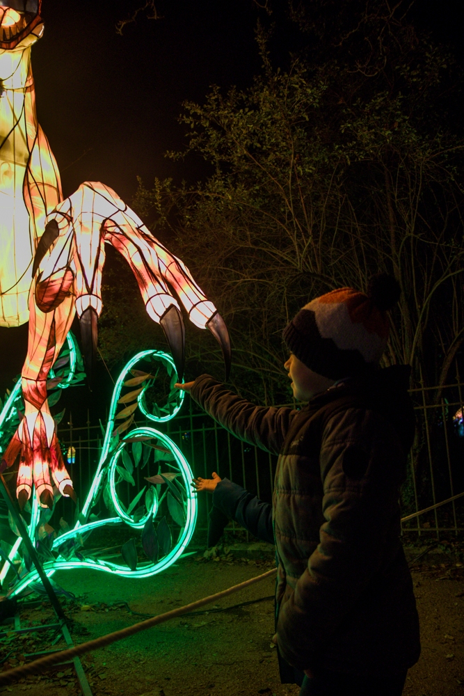 evolution-illuminations-jardin-plantes-decembre-2021-42