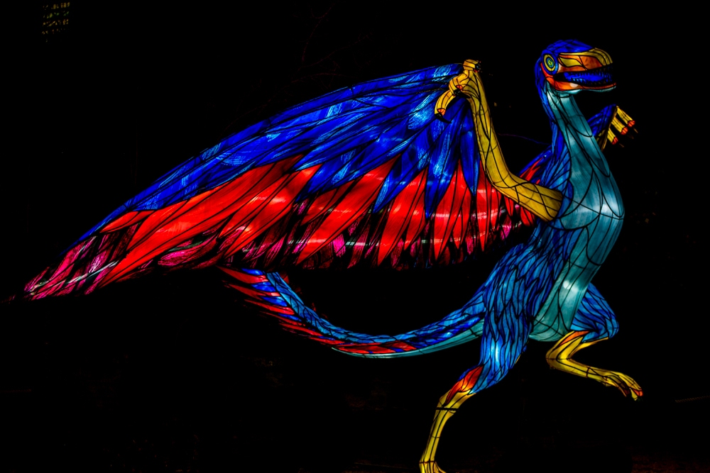 evolution-illuminations-jardin-plantes-decembre-2021-43