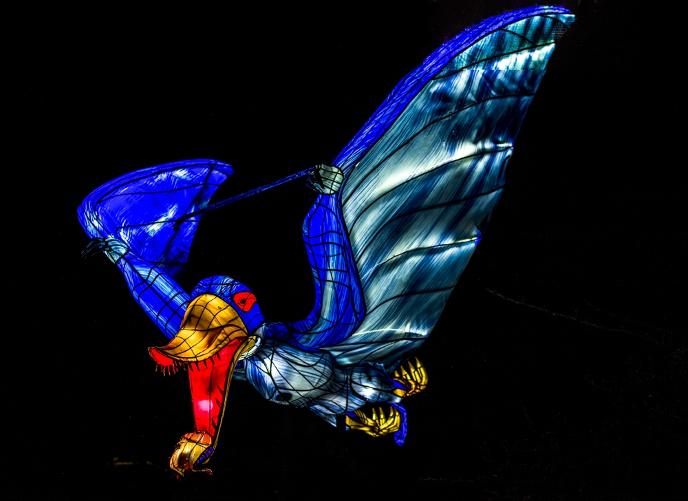 evolution-illuminations-jardin-plantes-decembre-2021-44