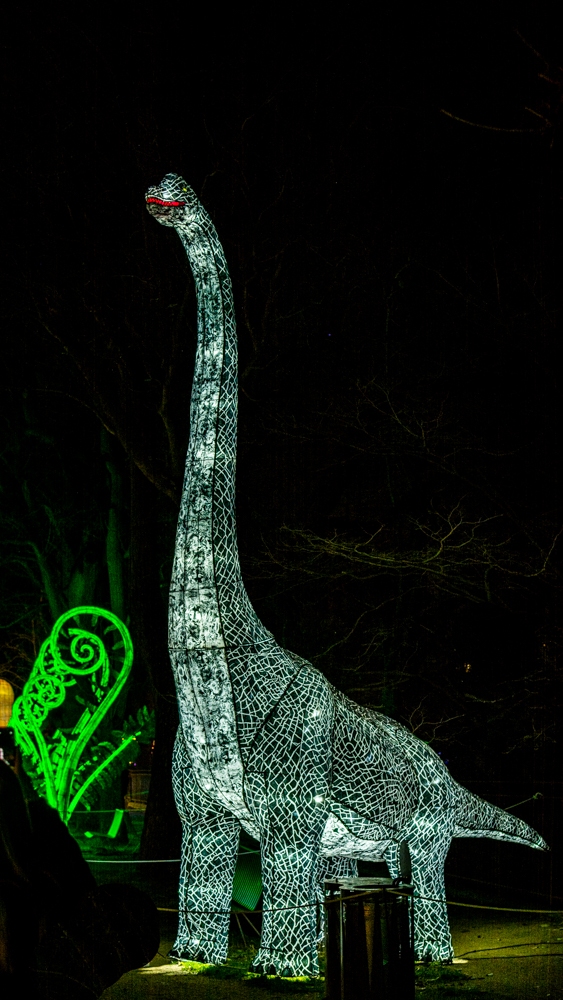 evolution-illuminations-jardin-plantes-decembre-2021-45