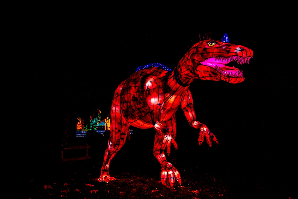 evolution-illuminations-jardin-plantes-decembre-2021-46