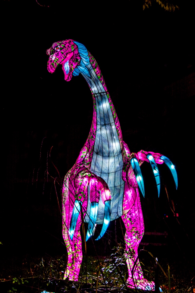 evolution-illuminations-jardin-plantes-decembre-2021-48