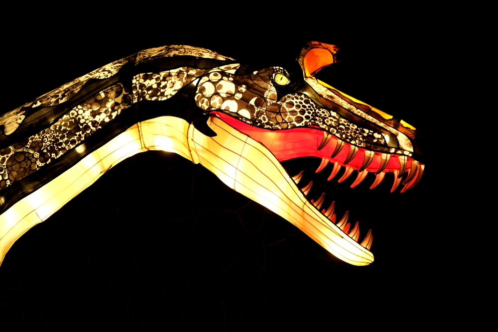evolution-illuminations-jardin-plantes-decembre-2021-49