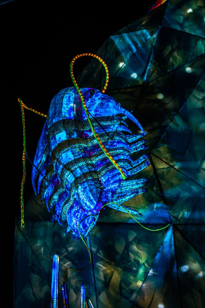 evolution-illuminations-jardin-plantes-decembre-2021-5
