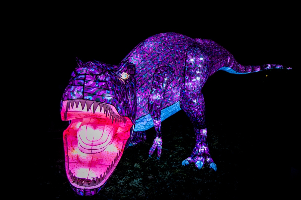 evolution-illuminations-jardin-plantes-decembre-2021-50
