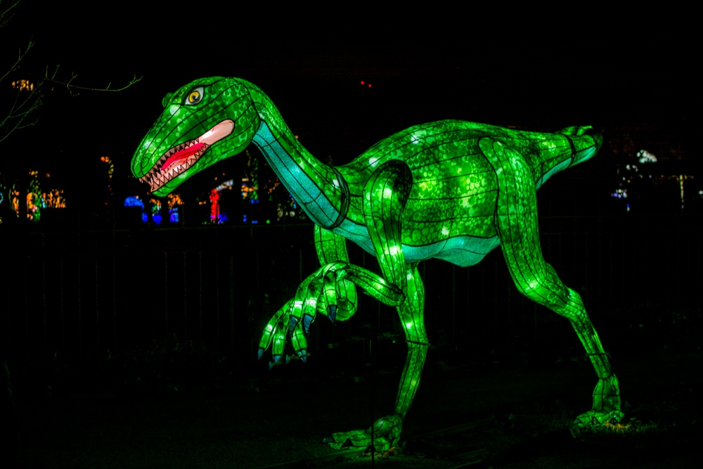 evolution-illuminations-jardin-plantes-decembre-2021-51