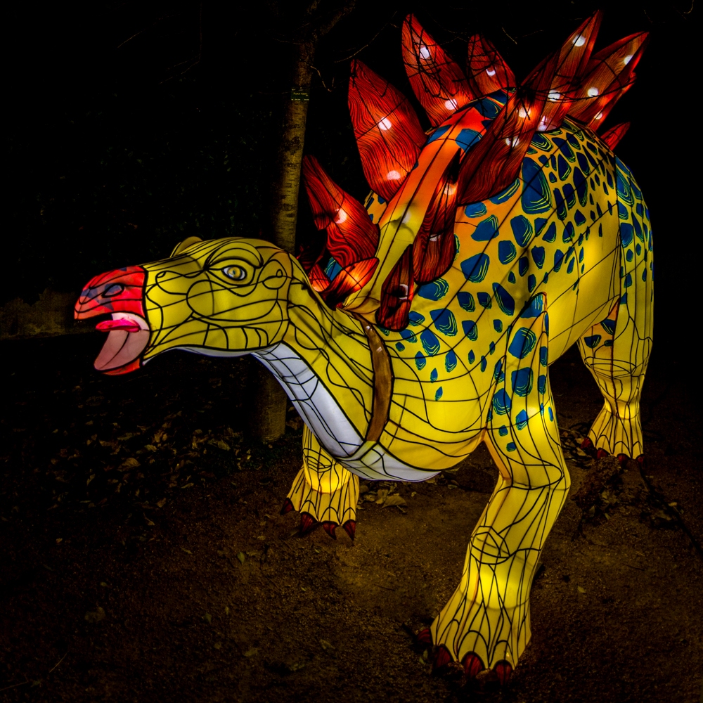 evolution-illuminations-jardin-plantes-decembre-2021-52