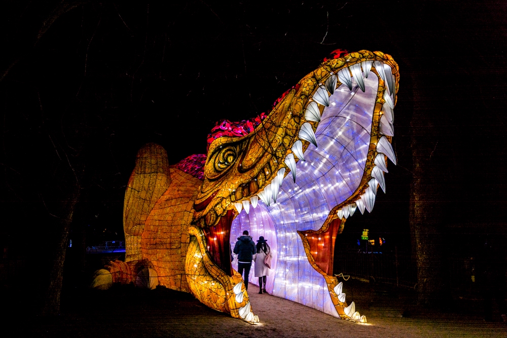evolution-illuminations-jardin-plantes-decembre-2021-54