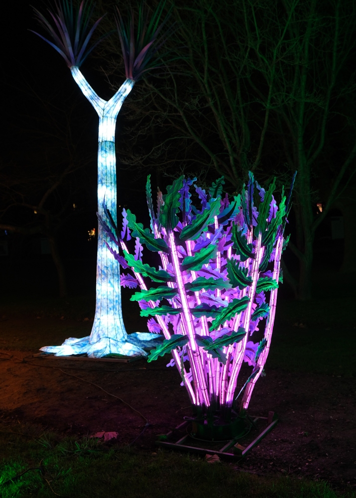 evolution-illuminations-jardin-plantes-decembre-2021-57