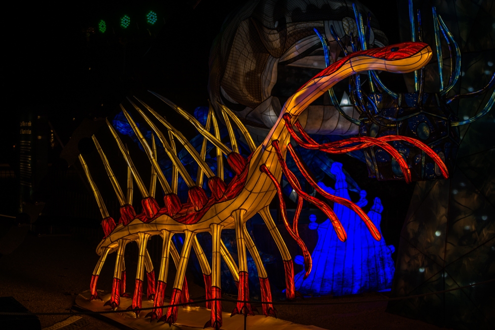 evolution-illuminations-jardin-plantes-decembre-2021-6