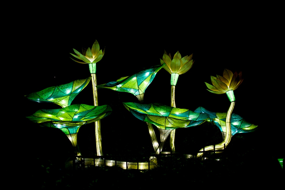 evolution-illuminations-jardin-plantes-decembre-2021-60