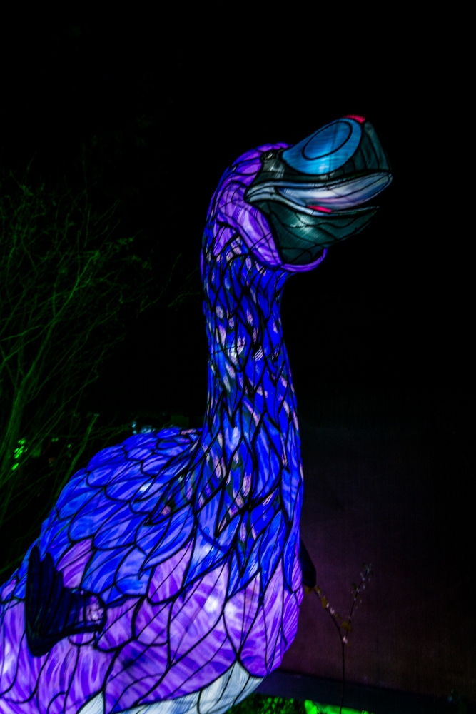 evolution-illuminations-jardin-plantes-decembre-2021-62