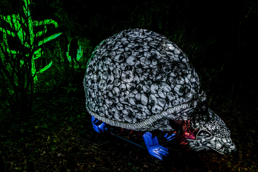 evolution-illuminations-jardin-plantes-decembre-2021-63
