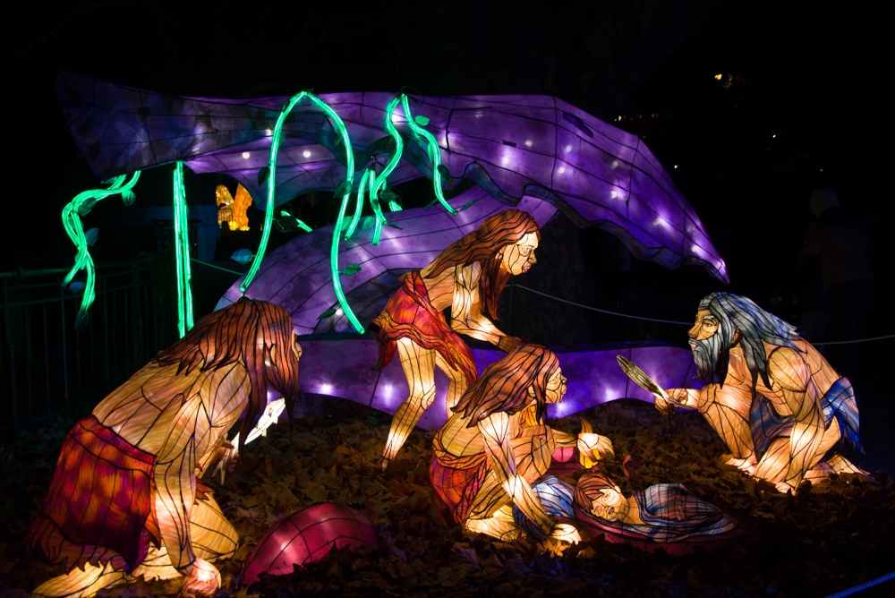 evolution-illuminations-jardin-plantes-decembre-2021-66