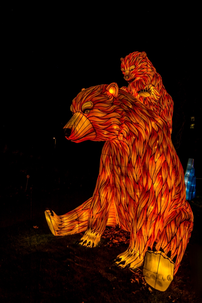 evolution-illuminations-jardin-plantes-decembre-2021-67