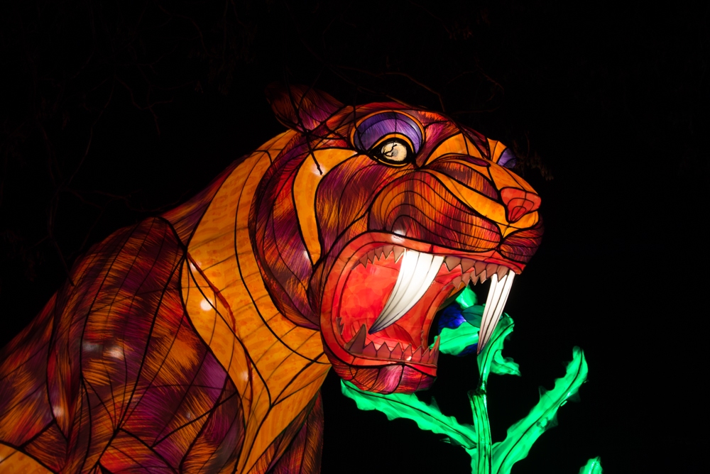 evolution-illuminations-jardin-plantes-decembre-2021-68