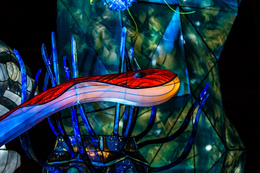 evolution-illuminations-jardin-plantes-decembre-2021-7