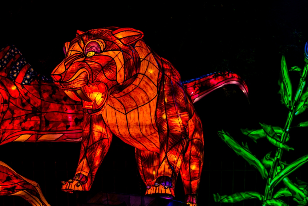 evolution-illuminations-jardin-plantes-decembre-2021-70