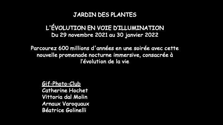 evolution-illuminations-jardin-plantes-decembre-2021-71