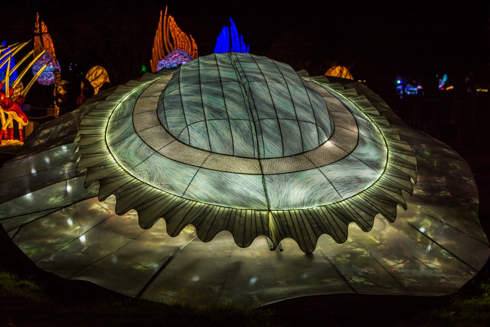 evolution-illuminations-jardin-plantes-decembre-2021-8